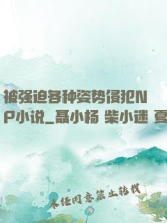 被强迫各种姿势侵犯NP小说